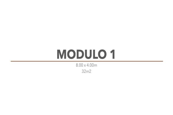 Módulo 1